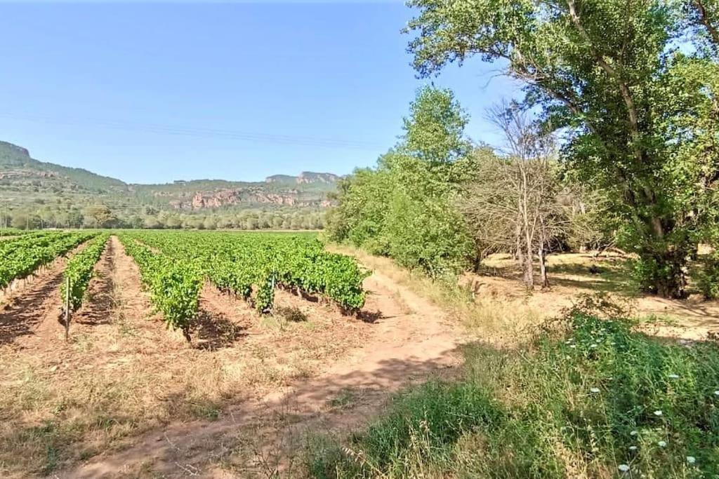 Superbe Villa Cadre Campagne 로크부른수르알젠스 외부 사진